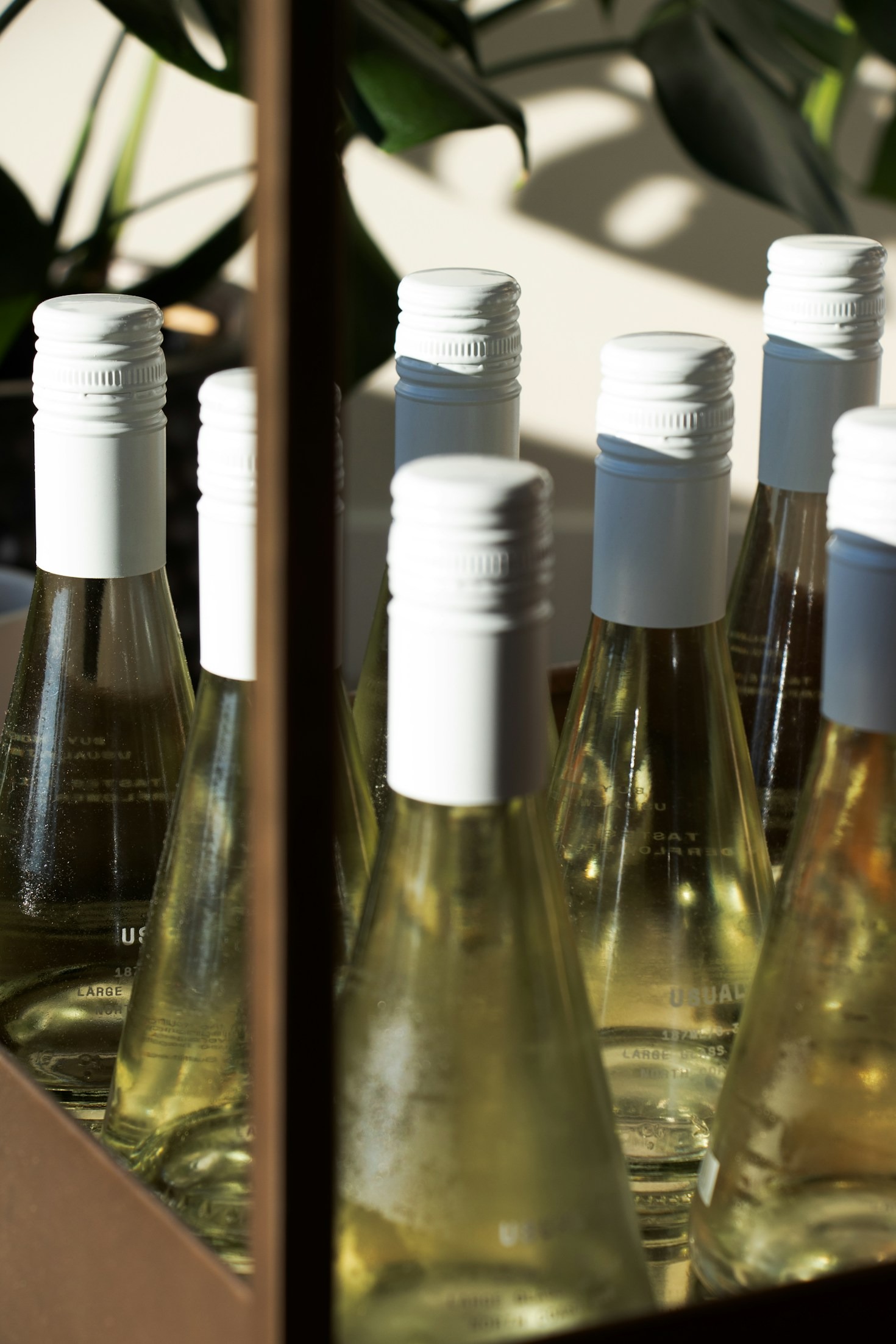 Come scegliere il miglior olio d’oliva toscano